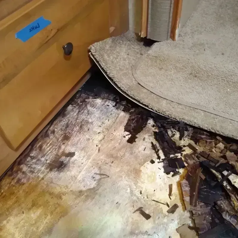 Wood Floor Water Damage in Jonesboro, AR